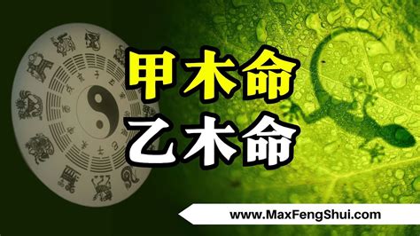 甲木丁火|甲木命和丁火命一起 源源不斷地生丁火